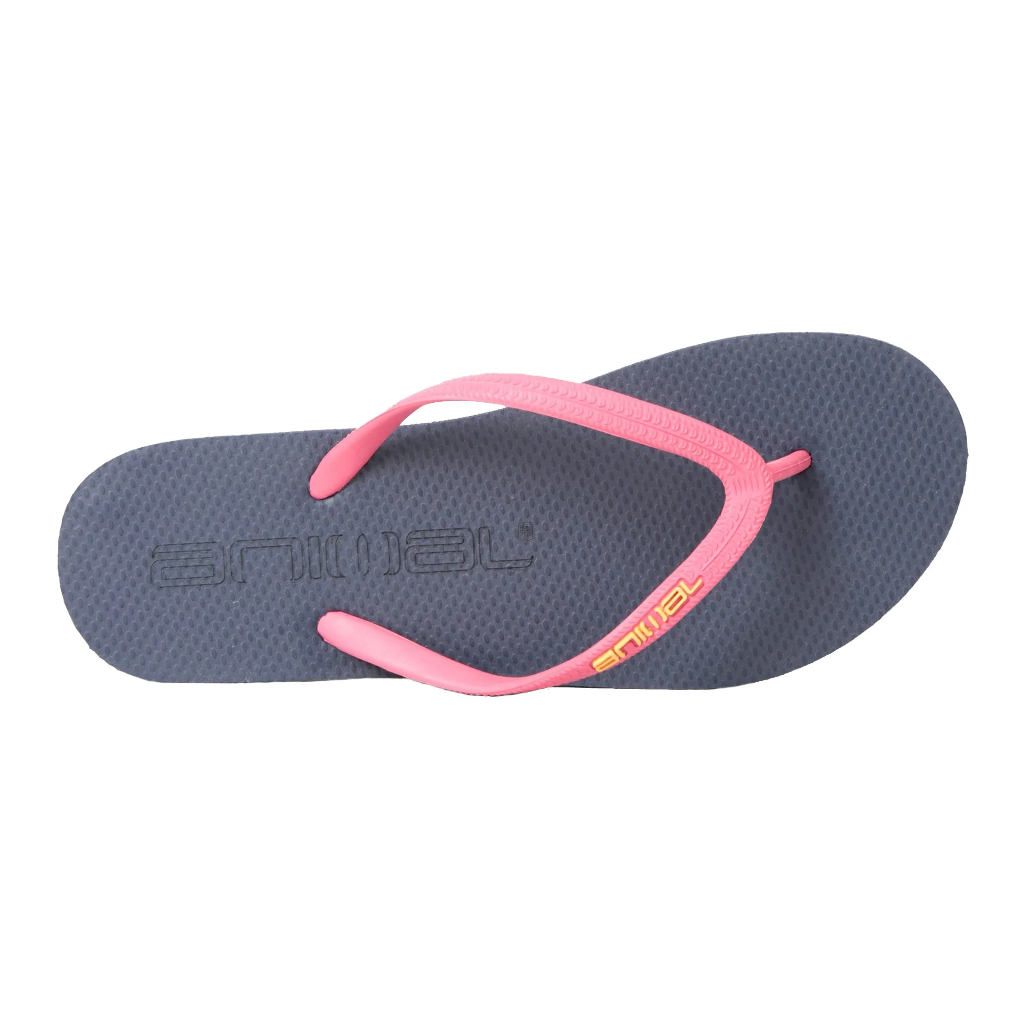 Animal Womens/Ladies Oceana Flip Flops