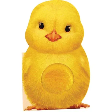 'Furry Chick' Touch and Feel Board Book | By Annie Auerbach